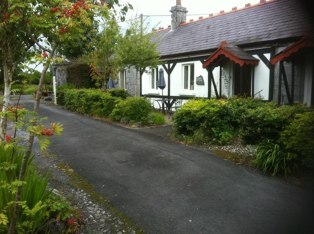 Caheroyn House Athenry Zewnętrze zdjęcie