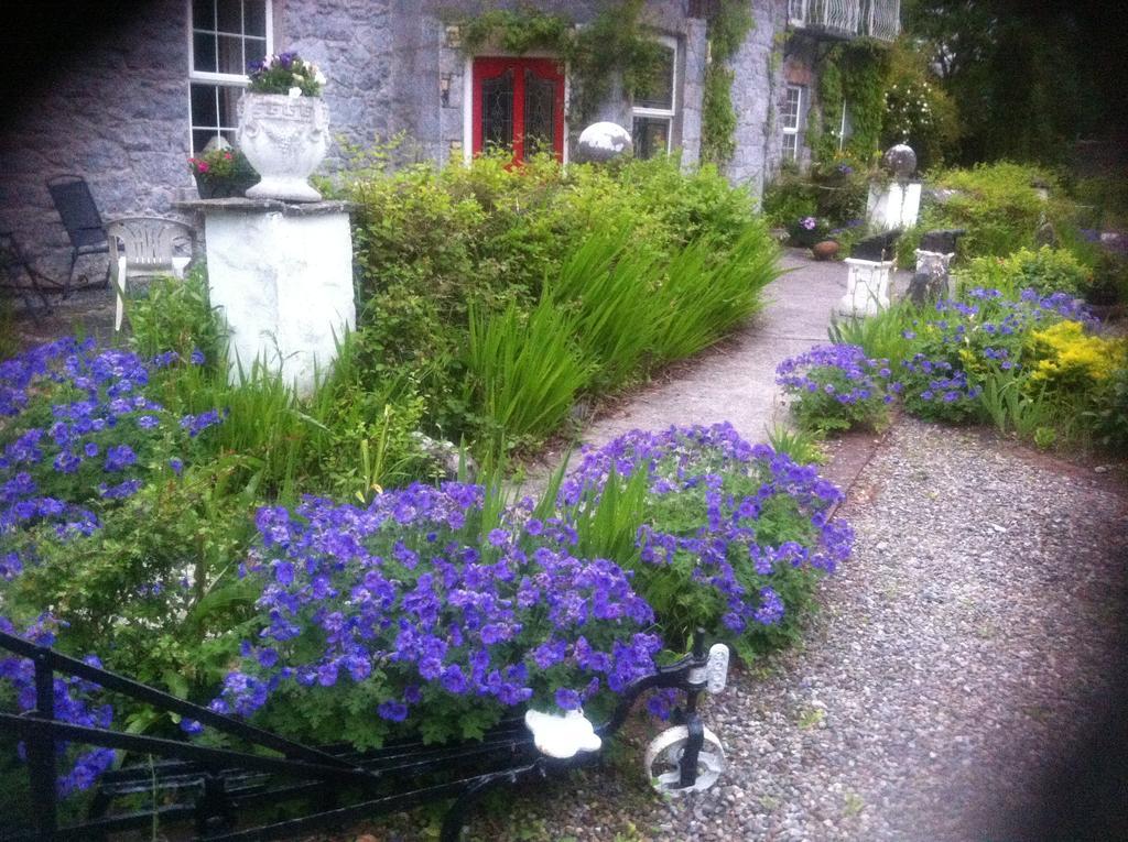 Caheroyn House Athenry Zewnętrze zdjęcie