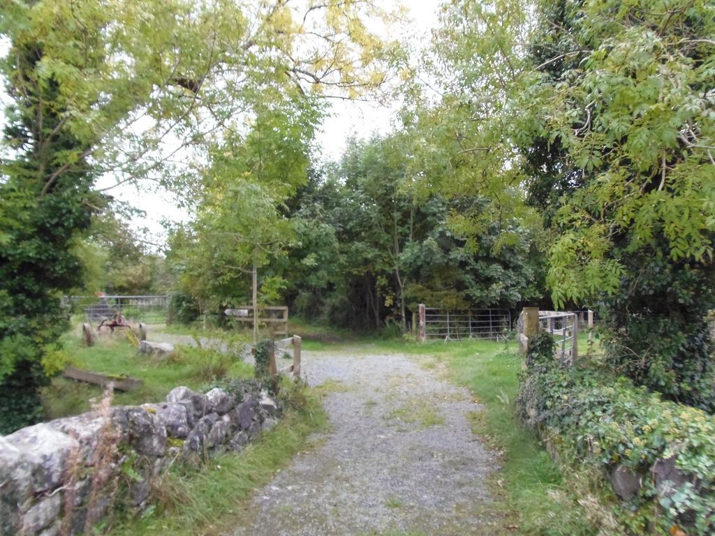Caheroyn House Athenry Zewnętrze zdjęcie